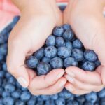 wellhealthorganic.com:blueberry-brain-boosting-benefits