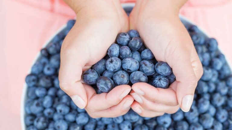 wellhealthorganic.com:blueberry-brain-boosting-benefits