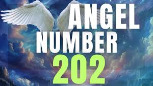 angel number 202