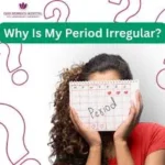 Menstrual Cycle