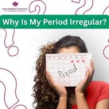 Menstrual Cycle